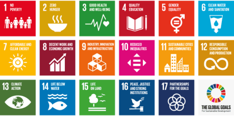 Sustainable Development Goals