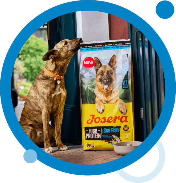 Rethinking packaging