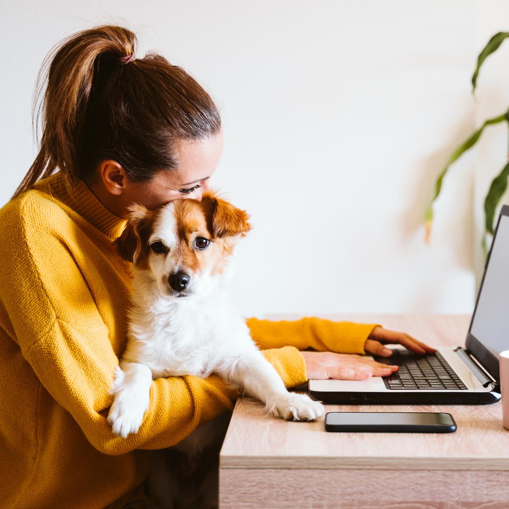Frau arbeitet mit Hund im Arm am Laptop