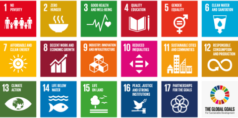 Die 17 SDG grafisch dargestellt.